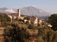 Acquisto vendita Aregno