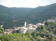 Acquisto vendita Palasca
