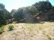 Acquisto vendita terreno Bastelicaccia