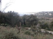 Acquisto vendita terreno Cargese