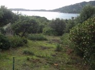 Acquisto vendita terreno Pianottoli Caldarello
