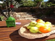 Affitto vacanze stagionale Calenzana