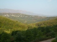 Immobiliare Rutali